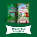 Kaytee Wild Bird Food Basic Seed Blend, 5 lb (EXP 08/04/26)