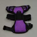rabbitgoo Dog Harness No Pull with 2 Leash Clips, Adjustable Soft Padded, Reflective Oxford No Choke Pet Vest with Easy Control Handle for Small Dogs, Purple, S
