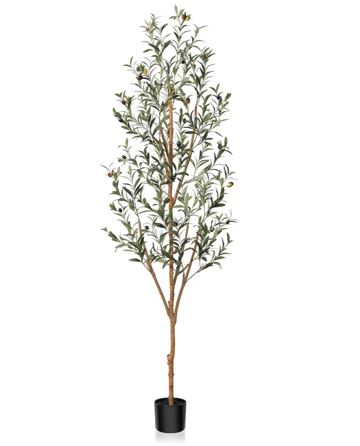 Kazeila Artificial Olive Tree 6FT Tall Faux Silk Plant for Home Office Decor Indoor Fake Potted Tree with Wood Branches and Fruits