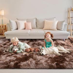 FinRec 5x8 Feet Brown Rugs for Living Room Bedroom, Large Plush Fluffy Shag Area Rug, Non-Slip Fuzzy Furry Shaggy Rug for Kids Room Dorm Room Home Decor, High Pile Soft Floor Carpet