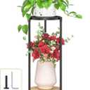 LASZOLA 2 Tier Black Plant Stand Indoor for Large Tall Heavy Duty Flower Planter, Metal Vertical Multi Level Rack for Narrow Floor Corner, Sturdy Round Holder Organizer, Modern, Mid Century, Farmhouse