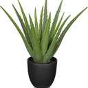 Fake Succulent Aloe Vera Plants 13 Inch Large Artificial Succulents with Black Pot Faux Aloe Potted Plant for Desk Modern Home Office Bedroom Living Room Table Shelf Decor