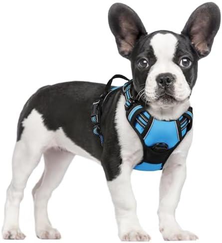 rabbitgoo Dog Harness No Pull with 2 Leash Clips, Adjustable Soft Padded, Reflective Oxford No Choke Pet Vest with Easy Control Handle for Small Dogs, Blue, S