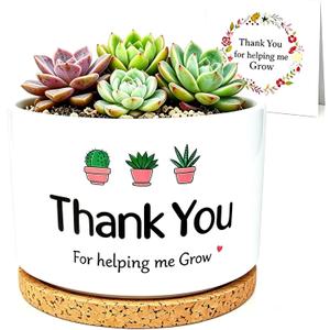 Teacher Appreciation Gift, Teacher Week Present from Student, Plant Pot for Succulent, Thank You for Helping Me Grow, Retirement Thank You Gift for Teacher, Small Flower Planter for Indoor Outdoor