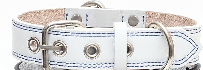 Premium Leather Collars with Stainless Steel Buckles (21"-24", White)