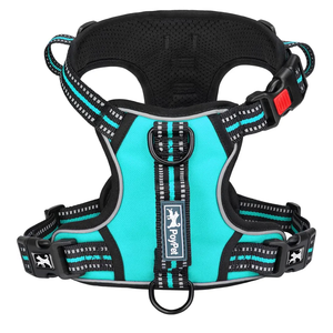 PoyPet No Pull Dog Harness, No Choke Front Clip Reflective Dog Vest with Soft Padded Vertical Handle, 3 Leash Attachments for Small Medium Large Dogs (Mint Blue, S)