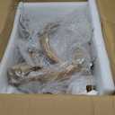 Aimery Branch Deer Antler Chandelier Lighting Vintage Deer Antler lamp (4light（7 Antler）)