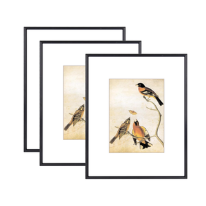 BKABOT 8.5x11 Picture Frame Set of 3, Black Metal Photo Frames with HD Glass, Fits 5x7 with Mat or 8.5x11 without Mat, Wall Hanging and Table Display