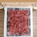 EHEYCIGA Electric Heated Blanket Throw Faux Fur, 10 Hours Auto Shut Off 9 Heating Levels Heating Blanket Throw, Soft Warm Heated Blanket Fast Heating, Faux Fur & Sherpa (Grey)