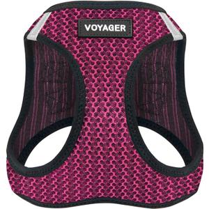 Best Pet Supplies - All Weather Mesh, Reflective, No Pull Harness for Small, Medium Dogs, Cats - Secure with Hook & Loop Fastener, Buckle, Double D-Rings - Fuchsia 2-Tone, M (M (Chest: 16 - 18"), Harness (Fuchsia 2-Tone))