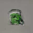 PUPTECK Adjustable Cat Harness and Leash Set Escape Proof Kitten Strap Collar for Walking Travel, Green (Small)