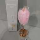 Pink Feather Lamp - LED Atmosphere Feather Night Lights Bedside Lamps for Mother, Girlfriend Home Girl Room Wedding Decoration