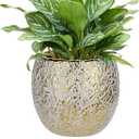 Ceramic Plant Pots for Plants Indoor 5.3 Inch Round Gold and White Flower Pot Gilded Decorative Planter with Drainage Hole and Saucer Modern Ceramic Pot for Succulents Orchids Cactus Herbs Home Decor