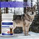 Probiotics Supplement for Dogs  Digestive Enzymes with Prebiotics for Gut Health, Diarrhea & Bowel Support, Immune Booster, Itch & Allergy Relief
