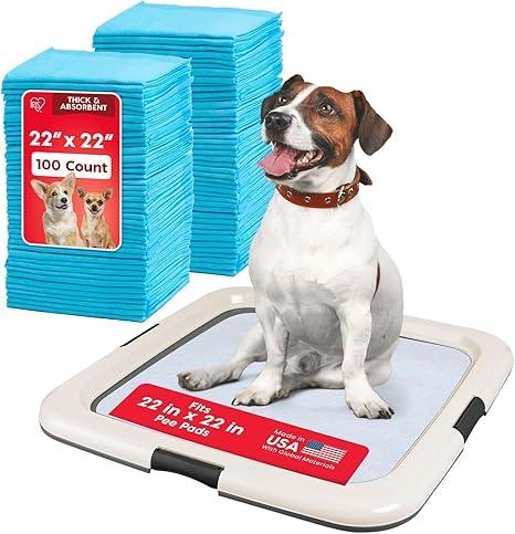 5 PCS IRIS USA Pee Pad Holder for Puppy Training, Secured Latches, Non-Skid Feet, Fits 22"x22" Pads, Dark Gray + 100 Puppy Pads, Leak Proof, Quick Dry, 6-Layer Absorbent Design, 22"x22"