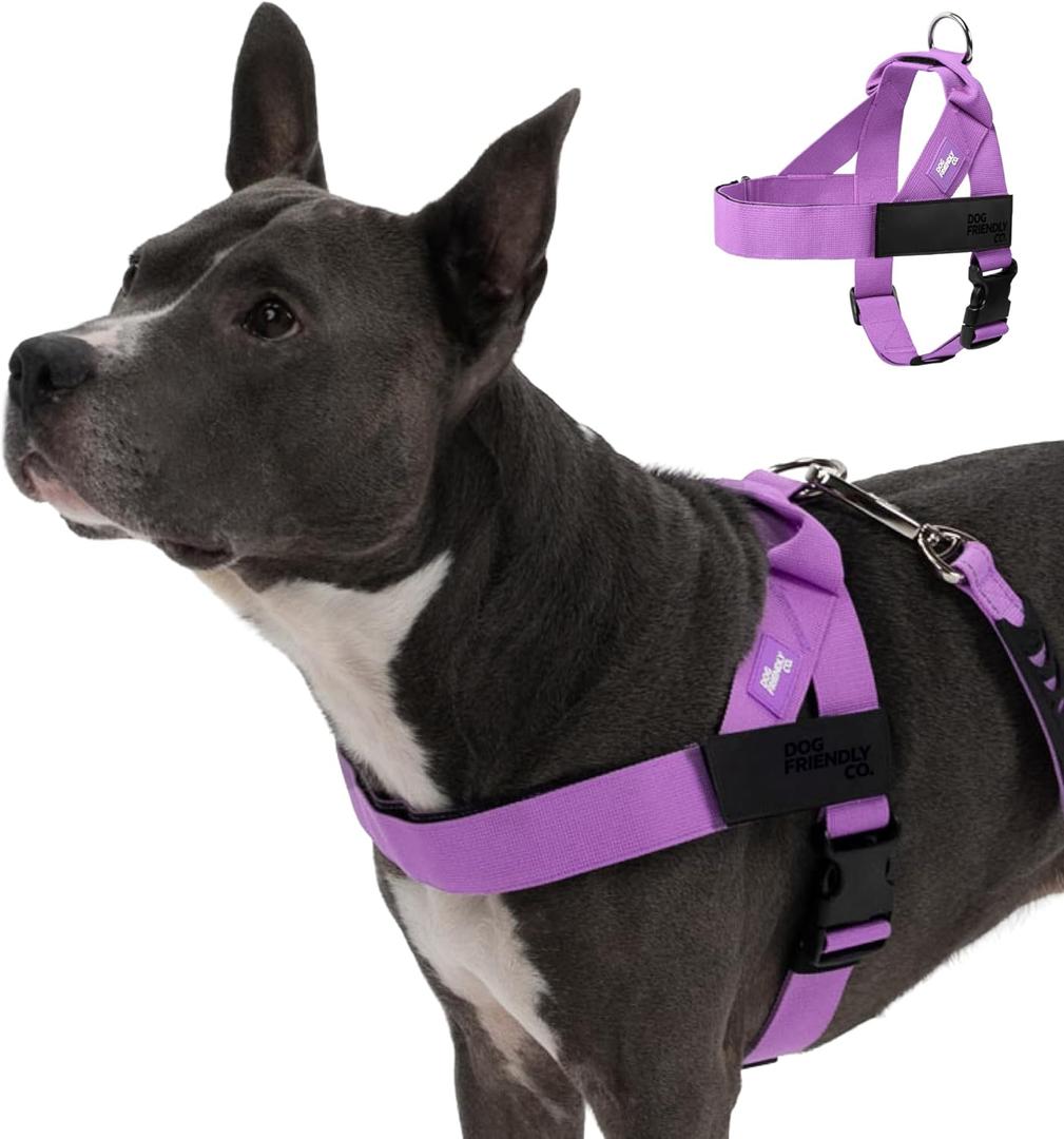 Dog Friendly Co. Dog Harness | Chafe Resistant Webbing, Adjustable Neck & Chest, and Heavy Duty D-Ring | Sturdy, Comfortable, Easy to Use | Purple, Size L