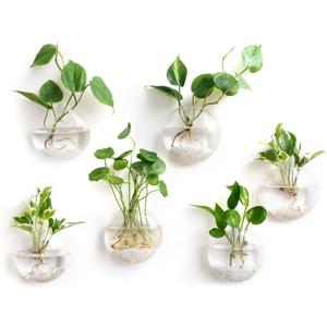 Mkono Wall Hanging Glass Terrariums Planter Oblate Flower Vase for Hydroponics Plants, Bathroom, Home Office Living Room Decor, Set of 6