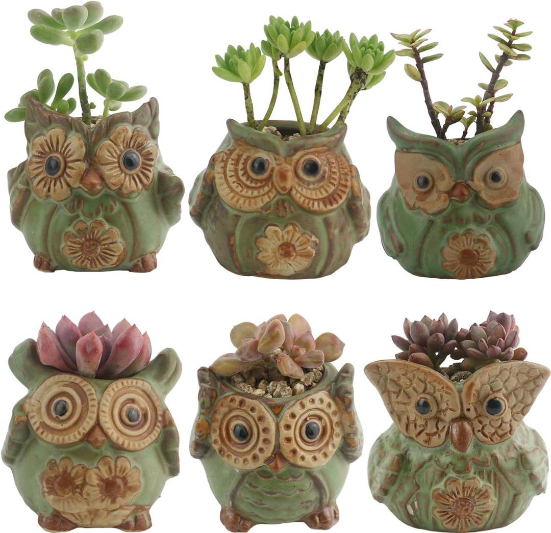 Ogrmar 6Pack Owl Plant Window Boxes Cute Owl Flower Pot/Modern Ceramic Succulent Planter Pots/Tiny Flower Plant Containers Animal Decor