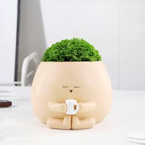 Meltset Face Planters Pots Head Smile Cute Succulent Planter with Drainage Unique Funny Cactus Planter Small Resin Plant Flower Pot for Indoor Outdoor Gift