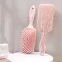 2 x 2 Pack Brush Set, Paddle Hair Brush for Women with All Hair Types,Portable Travel Brush,Compact Foldable Brush with Mirror for Purse,Small Pocket Comb(Pink)