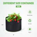 Delxo 10-Pack 3 Gallon Grow Bags Heavy Duty Aeration Fabric Pots Thickened Nonwoven Fabric Pots Plant Grow Bags with Handles Breathable Drainage Planters for Planting, Vegetables, Flowers (Black)