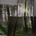 5 Panel Forest Wall Art for Office Decor, SZ Fantastic Spring Morning Sunrise Picture Canvas Prints of Nice Sunshine Peeking Through Rainforest (Waterproof Artwork, 1" Thick, Bracket Mounted, Large) (32x60 overall by 5 piece, 1" Deep, Bracket Mounted)