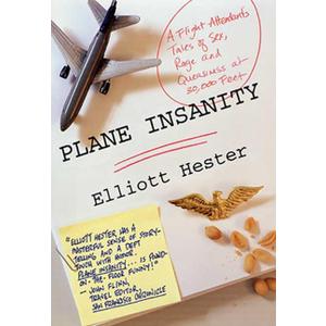 Plane Insanity: A Flight Attendant's Tales of Sex, Rage, and Queasiness at 30,000 Feet
