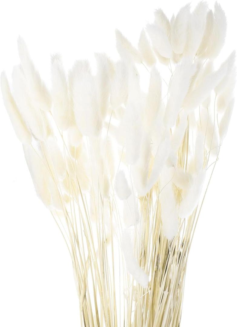 MECCANIXITY 120pcs Natural Rabbit Bunny Tails Dried Flowers 24" Mini Pampas Grass Lagurus Ovatus Bunch for Floral Wedding Decor Christmas, White