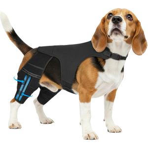 Dog Leg Braces for Back Leg, Adjustable Dog Knee Brace for Torn Acl Hind Leg with 4 Stabilizers, Hip Support to Reduces Pain, Ligament Injuries, Luxating Patella, M