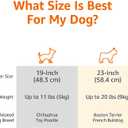 Amazon Basics Sturdy Portable 2-Door Top-Load Hard-Sided Pet Travel Carrier with Secure Ventilation, Handle, Front & Top Entry for Dogs, Cats, 22.8"L x 15"W x 13"H, Gray & Blue