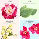 Waipfaru Spring Wreaths for Front Door, 26" Large Spring Summer Easter Wreaths for Front Door with Rose Peony Tulip Magnolia, All Seasons for Indoor Outdoor Farmhouse Home Porch Wall Window Decor