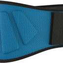 Weightlifting Belt For Men and Women - 6 Inch Auto-Lock Weight Lifting Back Support, Workout Back Support for Lifting, Fitness, Cross Training and Powerlifitng (X-Large, Blue)