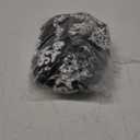 SHEWIN Women's Casual V Neck Floral Print Chiffon Blouses 3/4 Sleeve Boho Summer Tops Shirts (Large, Black)