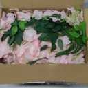 Artificial Wisteria Hanging Flowers Fake Wisteria Flower Garland Silk Vines Rattan Decor for Home Wedding Arch Wall Garden Greenery Bedroom Outdoor Office Party Decoration (36, Light Pink)