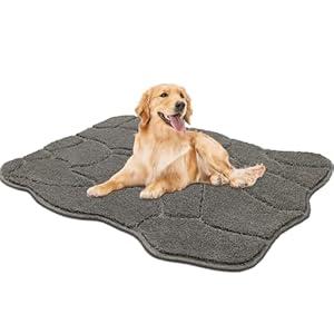 BSICPRO Dog Mat for Muddy Paws, 32x20 Low Profile Absorbent Dirt Trapper Door Mat, Non-Slip Washable Mud Mat for Dogs, Polyester Pet Rug Mat for Front Door Indoor, Patio, Entrance (Gray)