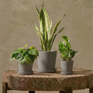 Bamworld Plant Pots Indoor with Drainage Holes- Set of 3 Pots for Plants(5.8/6.7/7.9Inch) Plastic Flower Pot Planters for Indoor Outdoor Plants Garden Pots for Room & Office Dcor Gray
