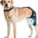 Dollephi Dog Knee Brace for Torn ACL Hind Leg, Hot/Cold Compress for Patella Dislocation or Osteoarthritis, Cruciate Ligament Injuries, for Medium & Large Dogs(Left Leg,L)