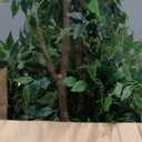 Warmplants 8ft Artificial Ficus Tree, 96 Realistic Ficus Leaves Large Fake Plant with Basket, Indoor Outdoor Potted Faux Tree for Home Garden Office House Livingroom Dcor