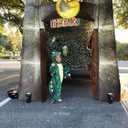Halloween Inflatable Dinosaur Trunk or Treat Car Decorations Kit for SUV Banner，Garage Door Car Decorations Haunted House Car