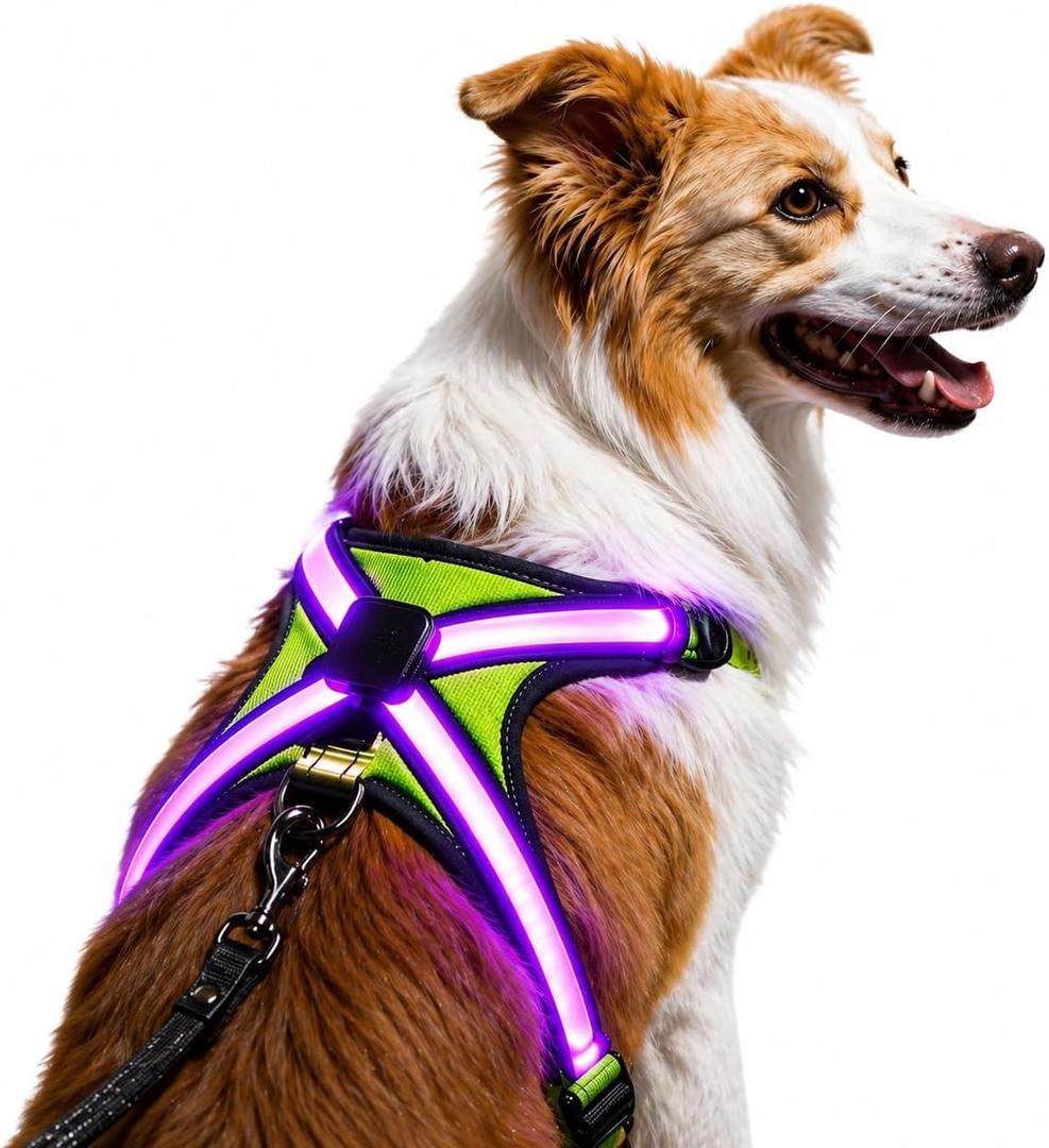 Light Up Dog Harness Type-C Rechargeable LED Dog Harness with RGB Multi-Colour Lighting Mode & 500mAh Battery, 500m Visible Waterproof Glow in The Dark Safety Vest for Night Walking, Avoid Accident S