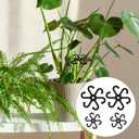 BOXOB 4pcs Plant Stem Support, Acrylic Reusable Leaf Holder with Holes 2 Size Flowers Stabilizer Grapple Stake Accessories Essentials for Thriving Indoor Growth(Black)