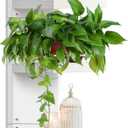 Defined Deco 5 Tier Wall Shelf Unit-47 White-Vertical Column Lack Display Floating Shelf, Narrow Smooth Laminate Finish - Vertical Wall Decor Mount Floating Storage Home Decor Tall Tower Utility Shelf