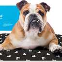 The Green Pet Shop Cool Pet Pad - Medium, Disneys Mickey & Minnie Mouse - Self-Cooling, Pressure Activated Mat for Dogs & Cats from 21-45 lbs - Non-Toxic Gel, No Water Needed