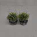 SEEKO Succulents Artificial Plants (2 Pack) Indoor Fake Desk Plants for Shelf Decor (ef of 2 pk, Black)