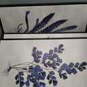 Large Framed Botanical Wall Art - Navy Blue Leaf Wall Decor 16"x24" Set of 3 Minimalist Wall Art Prints Vintage Plant Painting Rustic Fern Canvas Pictures for Living Room Bedroom Office Artwork, 16"x24"x3 Framed