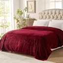 Westinghouse Heated Blanket Full Size - Electric With 10 Heating Levels, 1-12 Hours Auto Shut Off, Fast Warming, Machine Washable (Full, 72x84 Inches, Wine Red)