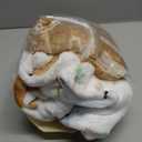 Fleece Baby Sleep Sack 6-12 Months Long Sleeve 2.0 Tog Baby Wearable Blanket with 2-Way Zipper Warm Sleeping Sack for Toddler Infant Newborn - Medium Brown & White Elephant