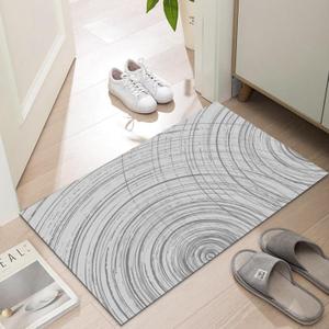 Ultra Thin Indoor Door Mat, 1/10 in Thin Door Mats for Inside Entry