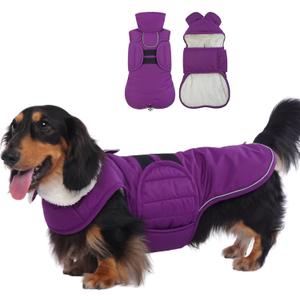 LeLePet Dachshund Coat - Warm, Waterproof Winter Jacket with Reflective Strips & Fleece Lining for Mini & Standard Dachshunds, Adjustable Hook & Loop, Purple (Large)