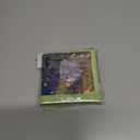 2 x GENSHIN IMPACT Offline Store Series Chibi Acrylic Ornament - Alhaitham